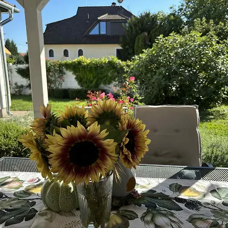 Boutique Villa Gyula